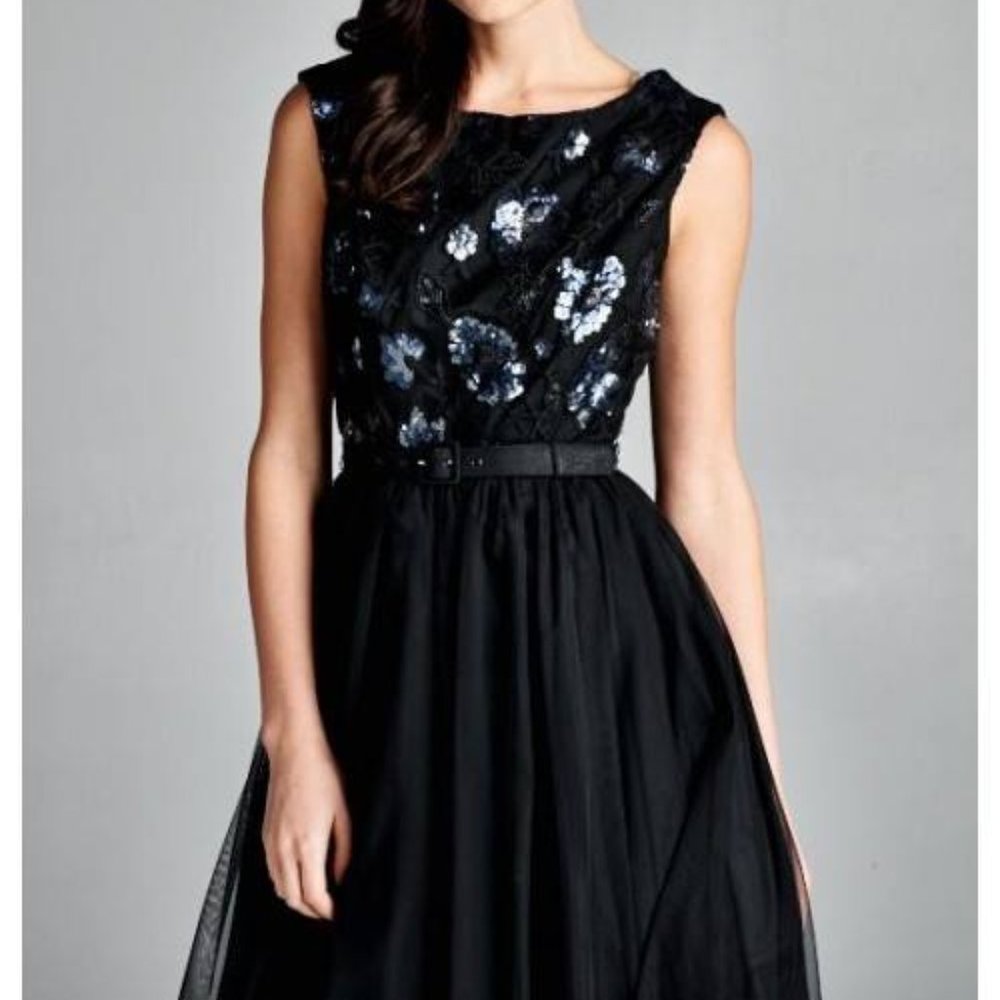 Belted Tulle and  Sequin Dress